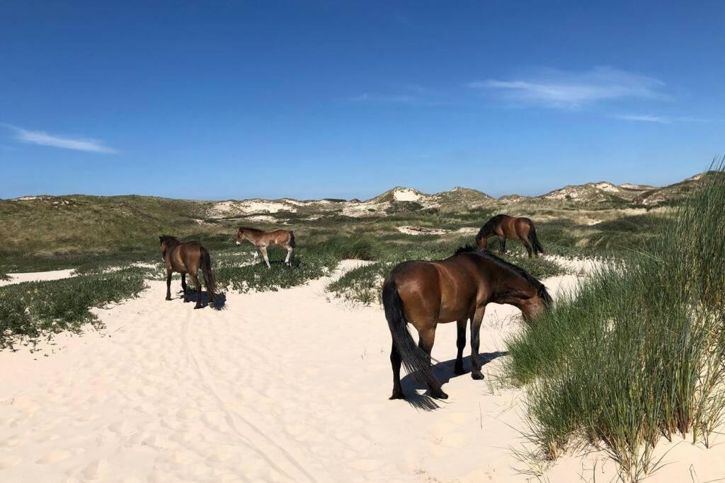 Villa Klein Geluk Egmond aan Zee Bagian luar foto