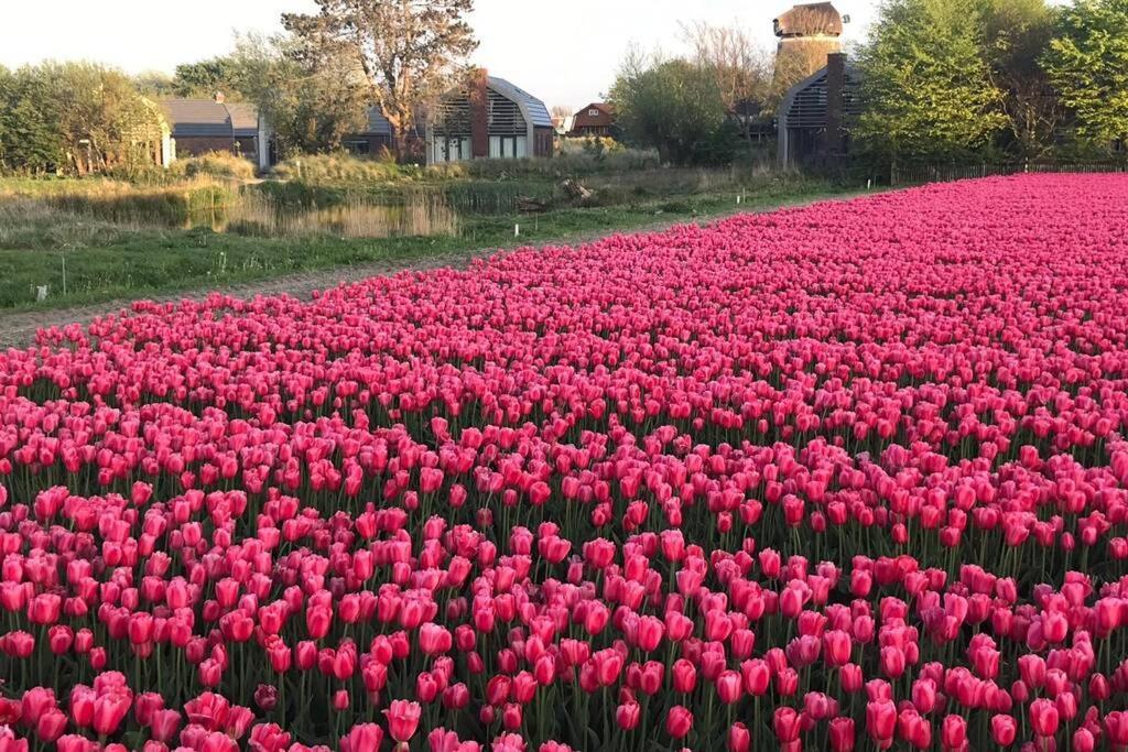 Villa Klein Geluk Egmond aan Zee Bagian luar foto