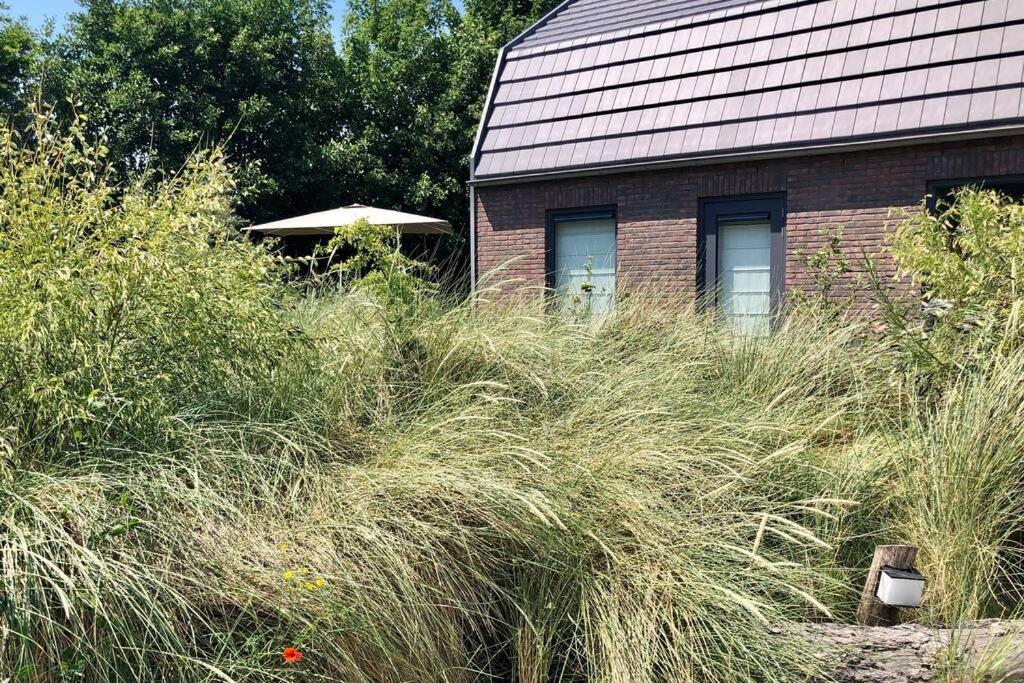 Villa Klein Geluk Egmond aan Zee Bagian luar foto